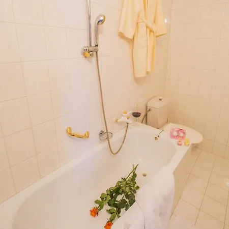 Hotel Veba 3*